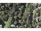 31 Rewa Road, Maraetai, Auckland - Carousel 1