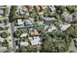 12A Konini Road, Titirangi, Auckland - Carousel 1