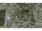 16 Trelawny Place, Hillcrest, Auckland - Carousel 1