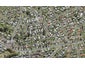 19 Kemble Close, Mangere, Auckland - Carousel 1
