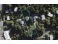 4 Hill Road, Palm Beach, Waiheke Island - Carousel 1