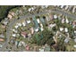 119 Raumanga Valley Road, Raumanga, Whangarei - Carousel 1