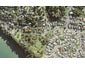 32 Ferry Road, Wade Heads, Whangaparaoa - Carousel 1