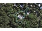57A Fairview Crescent, Omiha, Waiheke Island - Carousel 1