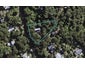 50 Bay Road, Ostend, Waiheke Island - Carousel 1