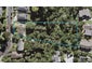 113 Canongate Street, Birkdale, Auckland - Carousel 1
