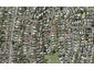 11A Keldale Place, Forrest Hill, Auckland - Carousel 1