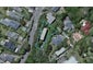 2/9 Ngaio Gorge Road, Ngaio, Wellington - Carousel 1