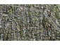 20D Bentleigh Avenue, New Windsor, Auckland - Carousel 1