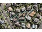 11 Calypso Way, Unsworth Heights, Auckland - Carousel 1