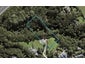 8A Emily Lane, Greenhithe, Auckland - Carousel 1