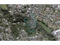7F Tasman Street, Vogeltown, New Plymouth - Carousel 1