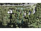 506 Huia Road, Laingholm, Auckland - Carousel 1