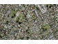 85A Avondale Road, Avondale, Auckland - Carousel 1