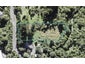 33 Rimu Road, Oratia, Auckland - Carousel 1