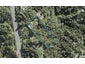 152 Lonely Track Road, Redvale, Auckland - Carousel 1