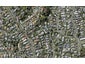 34A Dudley Road, Mission Bay, Auckland - Carousel 1