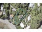 135 Marine Drive, Sorrento Bay, Lower Hutt - Carousel 1
