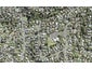 29B Acacia Road, Torbay, Auckland - Carousel 1