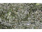 41 South Lynn Road, Titirangi, Auckland - Carousel 1