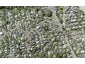 1/4 Cloverly Crescent, Campbells Bay, Auckland - Carousel 1