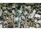 80 Divich Avenue, Te Atatu South, Auckland - Carousel 1