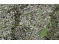 46B Salisbury Road, Birkdale, Auckland - Carousel 1