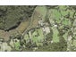 112 Bethells Road, Henderson - Carousel 1