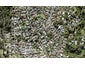42C Connaught Street, Blockhouse Bay, Auckland - Carousel 1