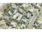 1/25 Charlotte Street, Stanmore Bay, Whangaparaoa - Carousel 1
