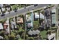 73A Pupuke Road, Northcote, Auckland - Carousel 1