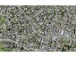 70B West Tamaki Road, St Heliers, Auckland - Carousel 1
