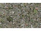 134 Hillside Road, Papatoetoe, Auckland - Carousel 1