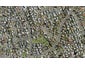 2/12 De Bloge Place, Clendon Park, Auckland - Carousel 1