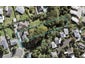 16 Utting Street, Birkdale, Auckland - Carousel 1