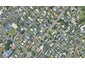 53 Fraser Street, Tauranga South, Tauranga - Carousel 1