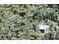 404 Scenic Drive, Waiatarua, Auckland - Carousel 1