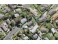 31 Arlette Place, Massey, Auckland - Carousel 1