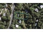 21 Palm Road, Palm Beach, Waiheke Island - Carousel 1
