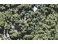 721 Scenic Drive, Henderson Valley, Auckland - Carousel 1