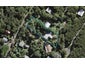 32 Glen Brook Road, Omiha, Waiheke Island - Carousel 1