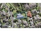 47 Te Wharau Drive, Greenhithe, Auckland - Carousel 1