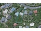 64 Bedford Street, Northland, Wellington - Carousel 1