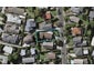 11 Thorp Street, Saint Johns, Auckland - Carousel 1