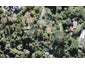 38 Raroa Terrace, Waiatarua, Auckland - Carousel 1