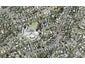 10A Agathis Avenue, Mairangi Bay, Auckland - Carousel 1