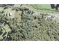16 Whatipu Road, Huia, Auckland - Carousel 1