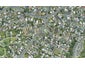 20 Cambridge Road, Judea, Tauranga - Carousel 1