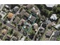 8A William Avenue, Greenlane, Auckland - Carousel 1