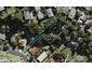 65 Ayton Drive, Totara Vale, Auckland - Carousel 1